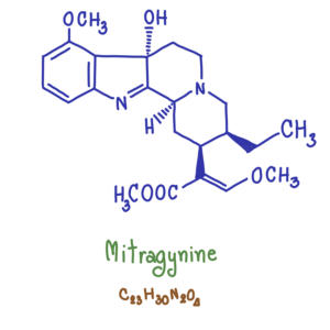 hand drawn diagram of mitragynine molecule