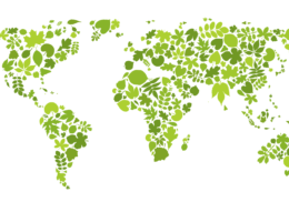 world map in green leaves